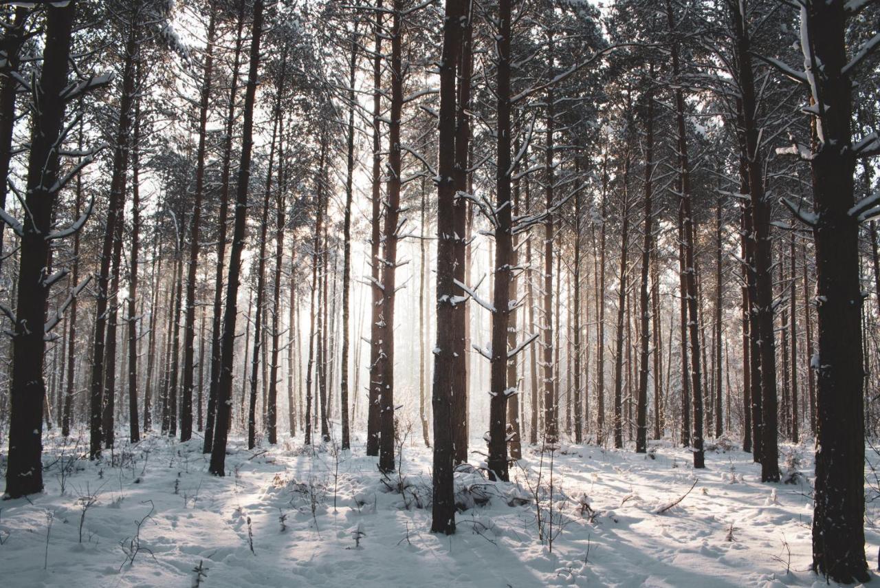 Jarzebinowa - Dom Do Wynajecia Na Podlasiu Luka Esterno foto