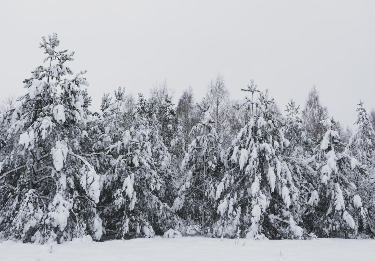 Jarzebinowa - Dom Do Wynajecia Na Podlasiu Luka Esterno foto