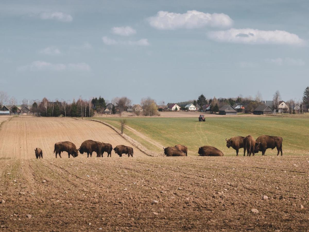 Jarzebinowa - Dom Do Wynajecia Na Podlasiu Luka Esterno foto